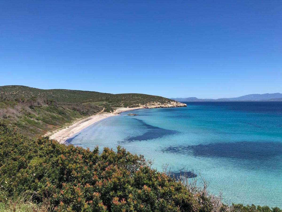 B&B Il Mirto Bianco San Giovanni Suèrgiu Εξωτερικό φωτογραφία