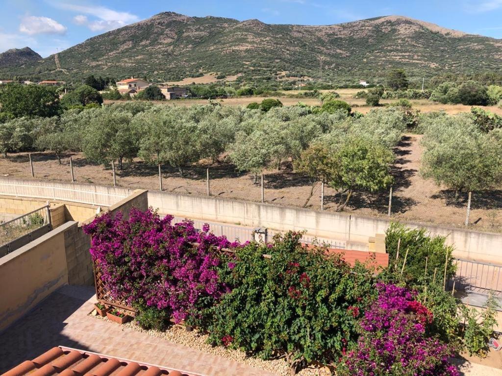 B&B Il Mirto Bianco San Giovanni Suèrgiu Εξωτερικό φωτογραφία